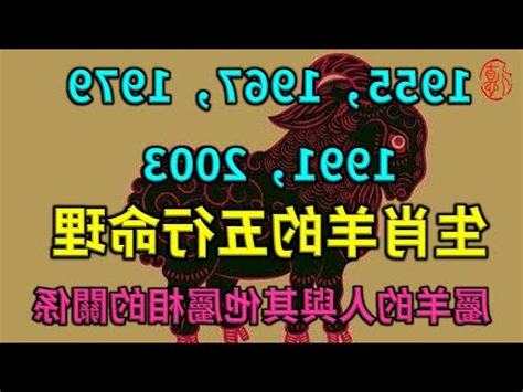1979 羊 五行